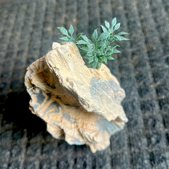 Terrarium Decor-Rocks - Picture 1 of 3